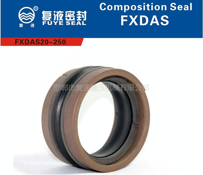 FXDAS孔用组合封